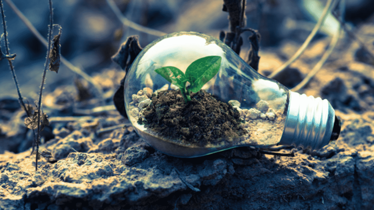 Is It Worth Starting an Eco-Friendly Business?